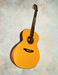 Andy Powers acoustic guitar glam shot