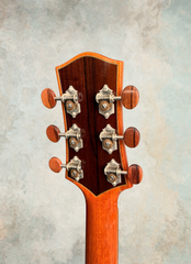 Andy Powers acoustic guitar Waverly tuners