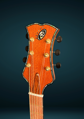 Barzilai Jumbo guitar headstock