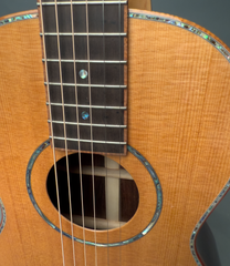 Branzell Parlor guitar ebony fretboard