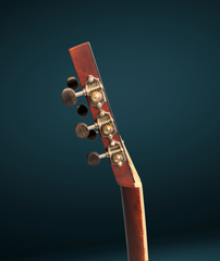 Branzell Parlor Guitar