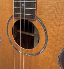 Branzell Parlor Guitar