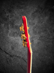 D'angelico New Yorker Excel Soho archtop side dots