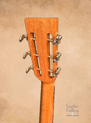 Froggy Bottom model C Dlx guitar back of headstock