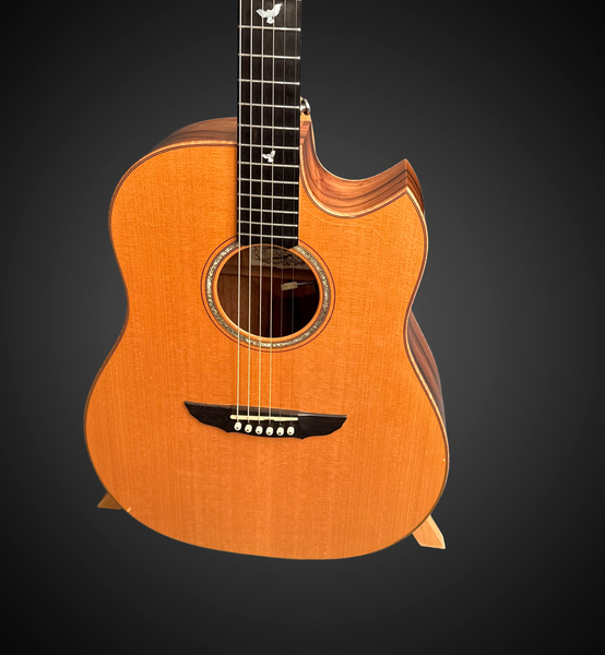 Goodall Concert Standard Guitar #BRSC652 – Guitar Gallery