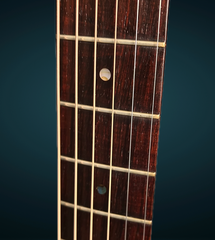 Hoffman J cocobolo guitar rosewood fretboard