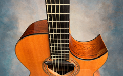 Grit Laskin Brazilian rosewood guitar ebony fretboard and binding