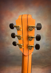 Lowden F38 Rio Rosewood Guitar