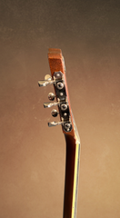 National Style 1 Resonator side dots on neck