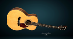 Olson SJ Celtic guitar glam shot