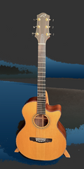 Ryan MGC Brazilian rosewood guitar for sale
