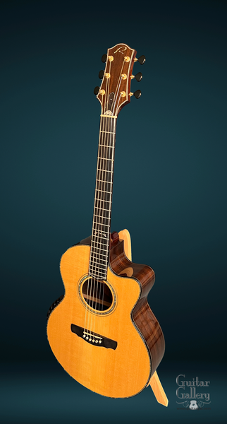 Ryan guitars for sale clearance