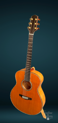 Schwartz Birdseye Maple guitar for sale