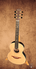 Sheeran Stadium Ltd Edition Guitar at Guitar Gallery