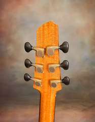 Strahm 10th Anniversary Guitar tuners