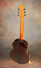 Strahm 10th Anniversary Guitar full back view