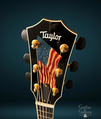 Taylor Liberty Tree guitar headstock inlay