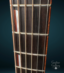 Trenier Acoustic Archtop fret markers