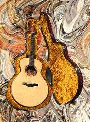 Vines SL cocobolo guitar inside calton case