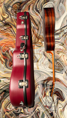 Vines SL cocobolo guitar with calton case