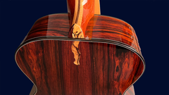 Vines SL cocobolo guitar decorative heel