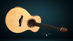 Vines SL cocobolo guitar glam shot