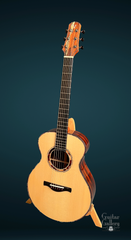 Vines SL cocobolo guitar for sale