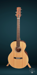 Rein RJN-1 Brazilian rosewood Guitar at Guitar Gallery