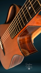 Wilborn Arum guitar cutaway