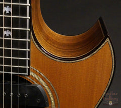 Olson guitar cutaway