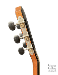 Taylor 912ce-12 fret guitar side of headstock