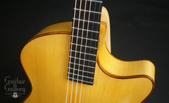 D'Ambrosio archtop guitar for Julian Lage