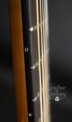 D'Ambrosio archtop guitar side markers