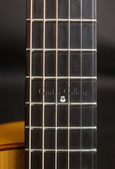 D'Ambrosio archtop guitar  fretboard