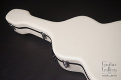 D'Ambrosio archtop guitar case