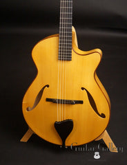 D'ambrosio archtop guitar