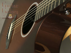 Rainsong Graphite Guitars: Vintage Burst APLE (Al Petteway Sig Model)