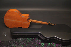 Barzilai JC3 guitar with BAM case