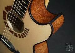 Barzilai JC3 guitar cutaway