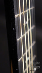 Rainsong BI-WS1000N2 guitar fretboard