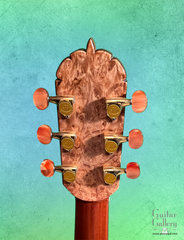 Fujii mod D guitar burled back headstock plate