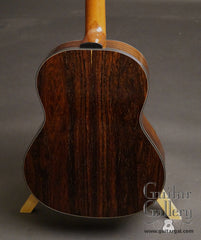 Greenfield G1 guitar Amazon rosewood back