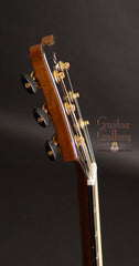 Greenfield GF Guitar
