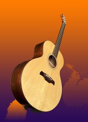 Galloup Hybrid Reserve Stock Guitar Brazilian rosewood glam shot