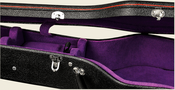 Harptone on sale guitar case
