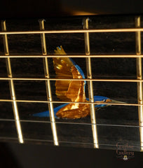 Laurie Williams kiwi guitar