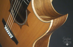 Langejans W-6 guitar cutaway
