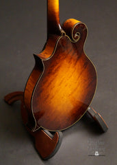 Collings MF-5 varnish mandolin birdseye maple back