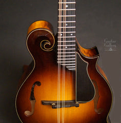 Collings MF-5 varnish mandolin fretboard