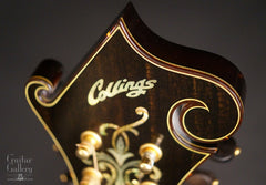 Collings MF-5 varnish mandolin logo